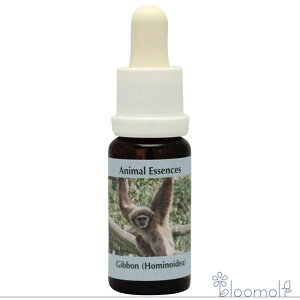 t[GbZX RePHIGbZX Aj}GbZX2 M{