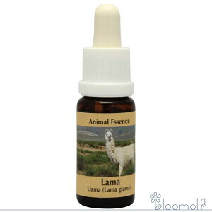 t[GbZX RePHIGbZX Aj}GbZX3 }