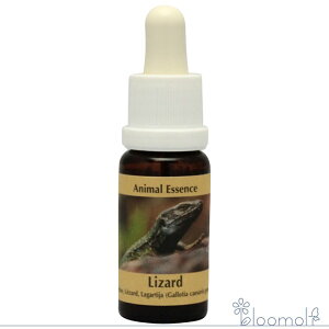 t[GbZX RePHIGbZX Aj}GbZX3 U[h