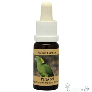 t[GbZX RePHIGbZX Aj}GbZX3 pbg