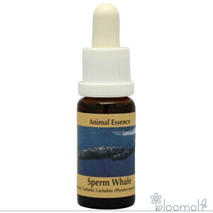 Xp[zG[ }bRENW RePHIGbZX Aj}GbZX4