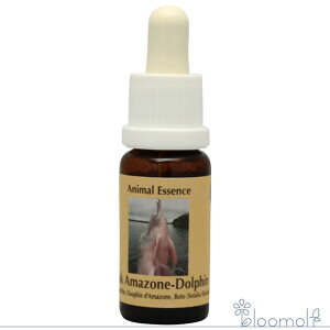 sNA}]htB RePHIGbZX Aj} t[GbZX sNCJ