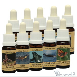 Aj}GbZX4S10{Zbg RePHIGbZX Aj}GbZX4