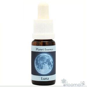 t[GbZX RePHIGbZX vlbgGbZX  Moon