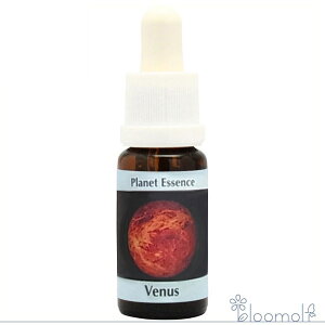 �t�����[�G�b�Z���X �R���ePHI�G�b�Z���X �v���l�b�g�G�b�Z���X ���� Venus