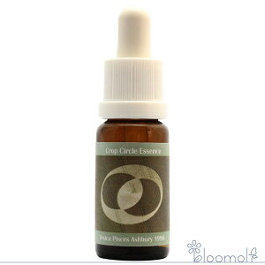 t[GbZX RePHIGbZX NbvT[NGbZX #08 Vesica Pisces, Ashbury, UK 1996