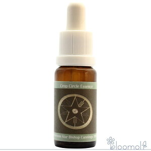 t[GbZX RePHIGbZX NbvT[NGbZX #14 Bethlehem Star, Bishops Cannings, UK 1997