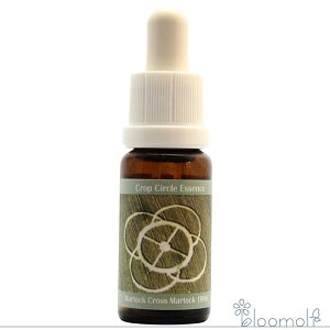 t[GbZX RePHIGbZX NbvT[NGbZX #17 Martock Cross, Martock, UK 1998