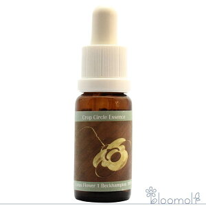 �t�����[�G�b�Z���X �R���ePHI�G�b�Z���X �N���b�v�T�[�N���G�b�Z���X #19 Lotus Flower 1, Beckhampton, UK 1998