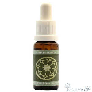 t[GbZX RePHIGbZX NbvT[NGbZX #30 8 Pointed Star, Bishops Cannings, UK 2000