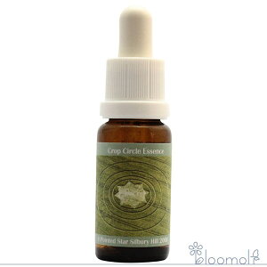 t[GbZX RePHIGbZX NbvT[NGbZX #33 8-pointed Star, Silbury Hill, UK 2000