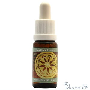 t[GbZX RePHIGbZX NbvT[NGbZX #45 9-pointed Star, Milk Hill, UK 2001