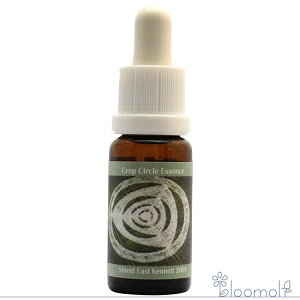 t[GbZX RePHIGbZX NbvT[NGbZX #46 Shield, East Kennet, UK 2001