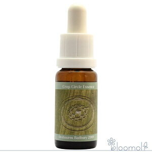 t[GbZX RePHIGbZX NbvT[NGbZX #47 Orobouros, Badbury, UK 2001