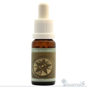 t[GbZX RePHIGbZX NbvT[NGbZX #50 10-pointed Star, Chilcomb Down, UK 2001