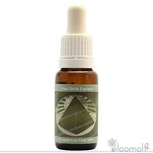 t[GbZX RePHIGbZX NbvT[NGbZX #52 Pyramid, East Field, UK 2001