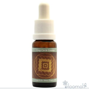 �t�����[�G�b�Z���X �R���ePHI�G�b�Z���X �N���b�v�T�[�N���G�b�Z���X #59 Crop Circle, Alton Priors, UK 2002