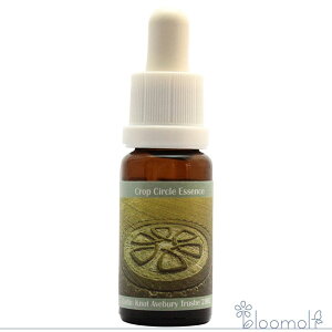 t[GbZX RePHIGbZX NbvT[NGbZX #61 Celtic Knot, Avebury Trusbe, UK 2002