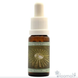 t[GbZX RePHIGbZX NbvT[NGbZX #63 Sun, Avebury, UK 2002