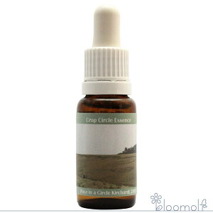 t[GbZX RePHIGbZX NbvT[NGbZX #65 Wave in a Circle, Kirchardt, D 2003