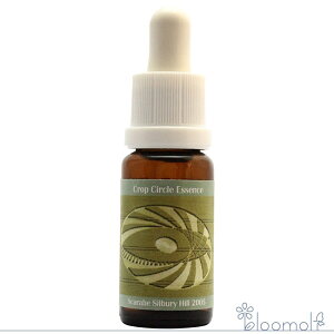 t[GbZX RePHIGbZX NbvT[NGbZX #80 Scarabe, Silbury Hill, UK 2005