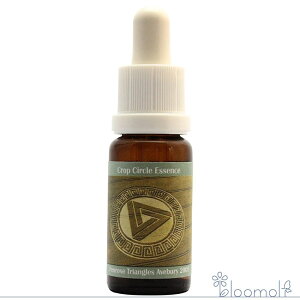 t[GbZX RePHIGbZX NbvT[NGbZX #82 Penrose Triangles, Avebury, UK 2005