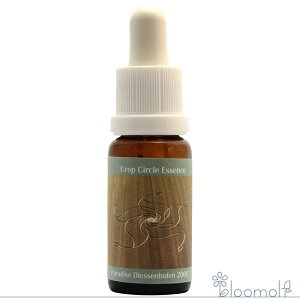 t[GbZX RePHIGbZX NbvT[NGbZX #96 Paradise Forest, Diessenhofen, CH 2008