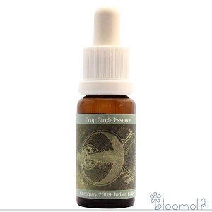 �t�����[�G�b�Z���X �R���ePHI�G�b�Z���X �N���b�v�T�[�N���G�b�Z���X #110 Indian Eagle, Yatesbury, UK 2009