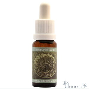 t[GbZX RePHIGbZX NbvT[NGbZX #114 Silbury Hill Avebury, UK 2009