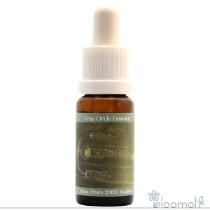 t[GbZX RePHIGbZX NbvT[NGbZX #119 Swallow, Alton Priors, UK 2009