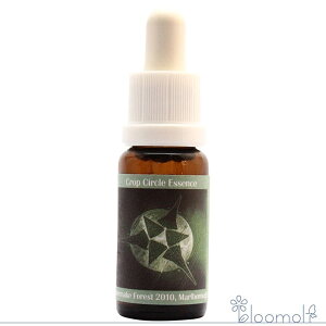 t[GbZX RePHIGbZX NbvT[NGbZX #124 Savernake Forest, Marlborough, UK 2010