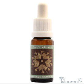 フラワーエッセンス コルテPHIエッセンス クロップサークルエッセンス #125 St. Martins Chapel, Chisbury 2010