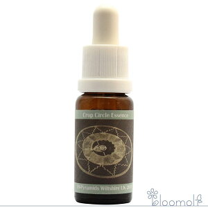 �t�����[�G�b�Z���X �R���ePHI�G�b�Z���X �N���b�v�T�[�N���G�b�Z���X #139 East Kennet 2 Avebury, Wiltshire 2011