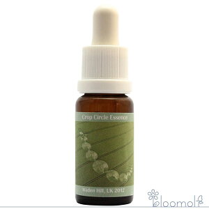 t[GbZX RePHIGbZX NbvT[NGbZX #147 Milk Hill, Alton Barnes, UK 2012