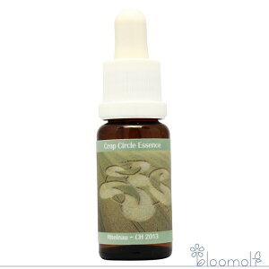 t[GbZX RePHIGbZX NbvT[NGbZX #151 Rheinau CH 2013