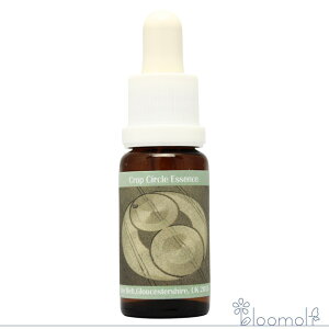 t[GbZX RePHIGbZX NbvT[NGbZX #170 Fairford circles, UK 2015