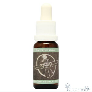 t[GbZX RePHIGbZX NbvT[NGbZX #174 Indian Eagle, UK 2015