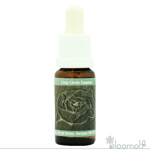 t[GbZX RePHIGbZX NbvT[NGbZX #182 Broad Hinton, Hackpen Hill Sharks, UK 2016