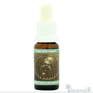 t[GbZX RePHIGbZX NbvT[NGbZX #184 Figsbury Ring Woodborough Lion, UK 2016