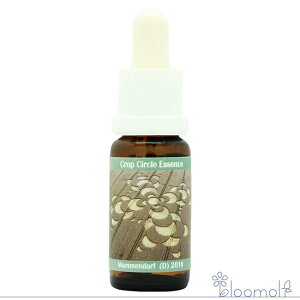 t[GbZX RePHIGbZX NbvT[NGbZX #185 Mammendorf, D 2016