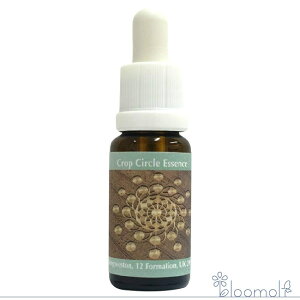 �t�����[�G�b�Z���X �R���ePHI�G�b�Z���X �N���b�v�T�[�N���G�b�Z���X #196 Kingweston, 12 Formation, UK 2018