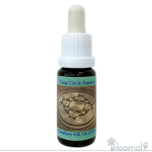 t[GbZX RePHIGbZX NbvT[NGbZX #202 Danebury Hill, UK 2019