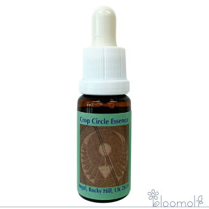 t[GbZX RePHIGbZX NbvT[NGbZX #215 Angel, Rocky Hill, UK 2020