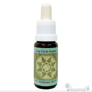 t[GbZX RePHIGbZX NbvT[NGbZX #240 Star - Winchester, UK 2023