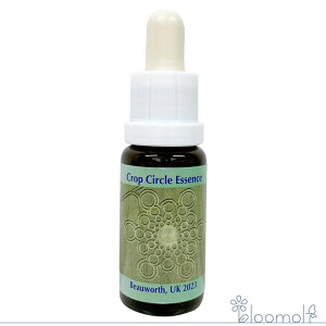 t[GbZX RePHIGbZX NbvT[NGbZX #243 Beauworth, UK 2023