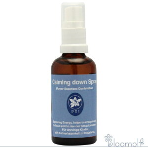 t[GbZX RePHIGbZX Xv[ J[~O_EXv[ 50ml