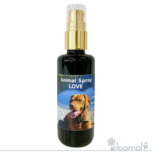 t[GbZX RePHIGbZX Aj}Xv[ Aj}Xv[u 50ml