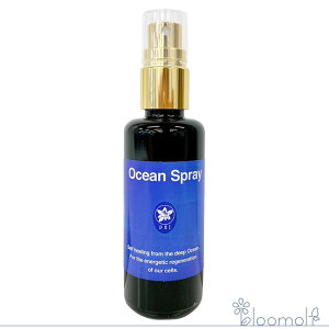 t[GbZX RePHIGbZX Xv[ I[VXv[ Ocean Spray 50ml