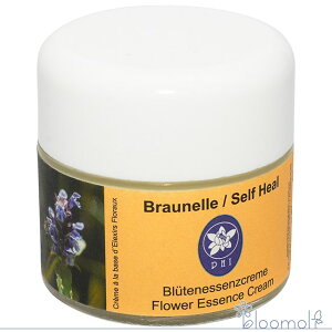 t[GbZX RePHIGbZX GbZXN[ Ztq[N[