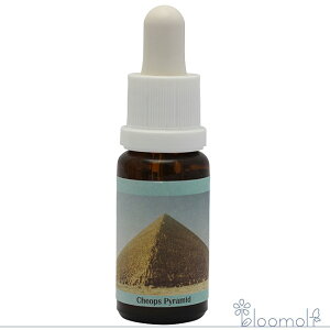 t[GbZX RePHIGbZX ̑XyVGbZX Nt